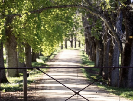 Screenshot 2024-09-06 at 4.03.02 PM